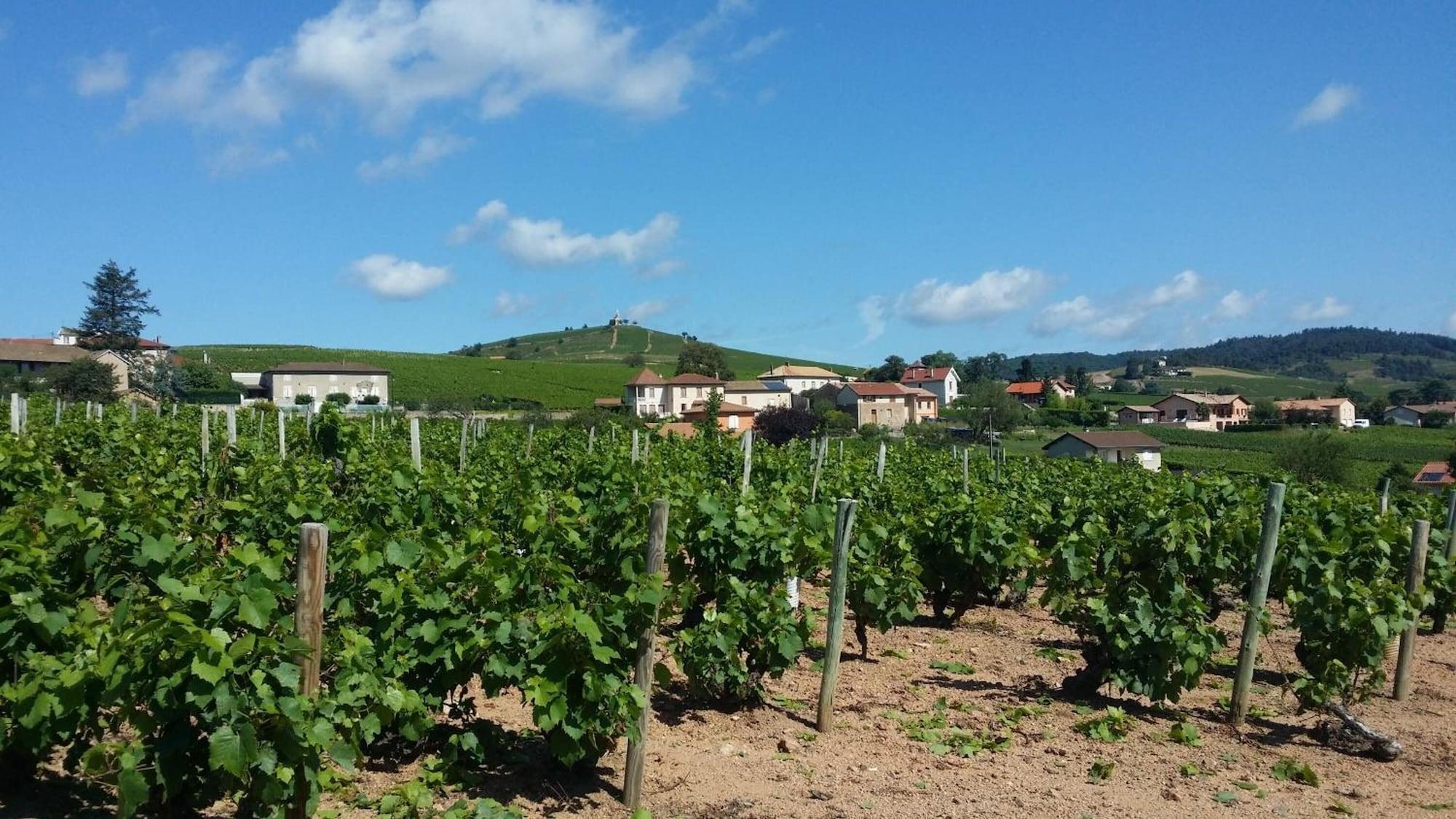 Logis Hotel Des Grands Vins Fleurie Eksteriør billede