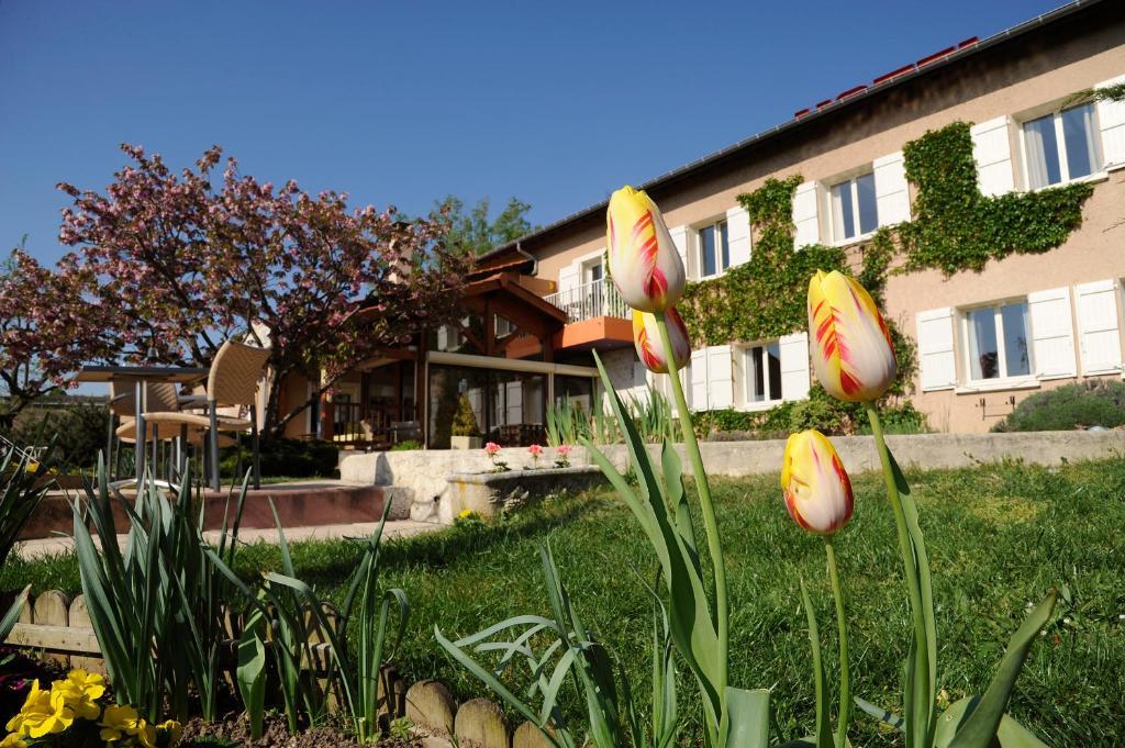 Logis Hotel Des Grands Vins Fleurie Eksteriør billede