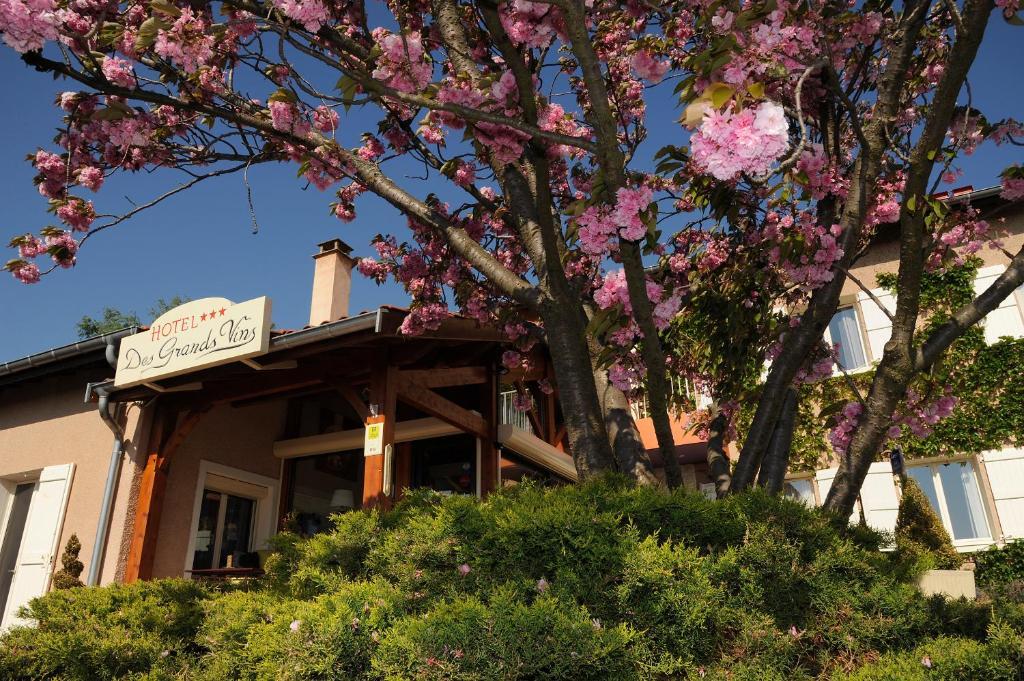 Logis Hotel Des Grands Vins Fleurie Eksteriør billede